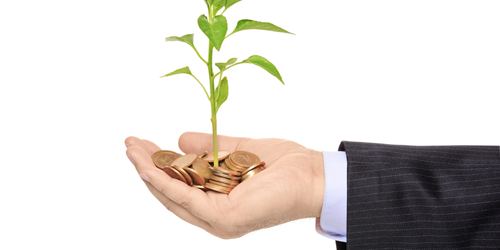 create a thriving business