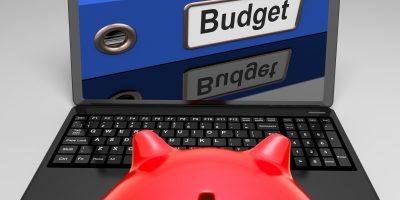 Budget to save your business