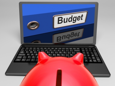Budget to save your business