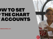 how to set up chart of accounts